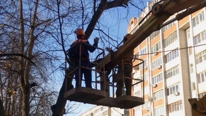 Телылан ямдылалтыт