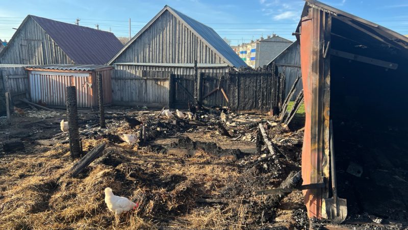 Во время пожара в Советском районе погибли 17 домашних птиц