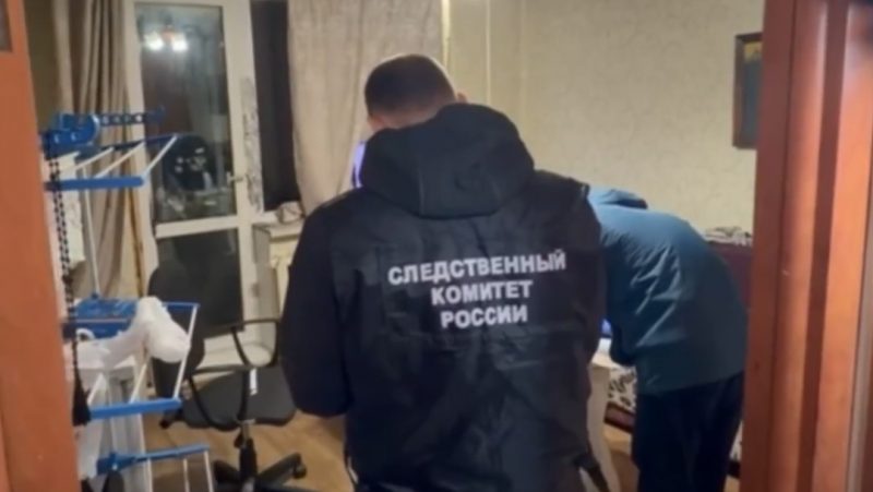 В Марий Эл возбуждено уголовное дело по факту убийства женщины: подозреваемый — сожитель погибшей