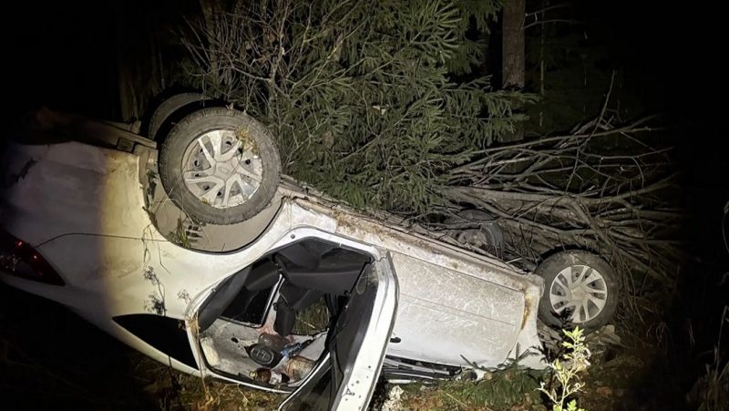 На 102-м км трассы «Вятка» лось попал под колёса автомобиля
