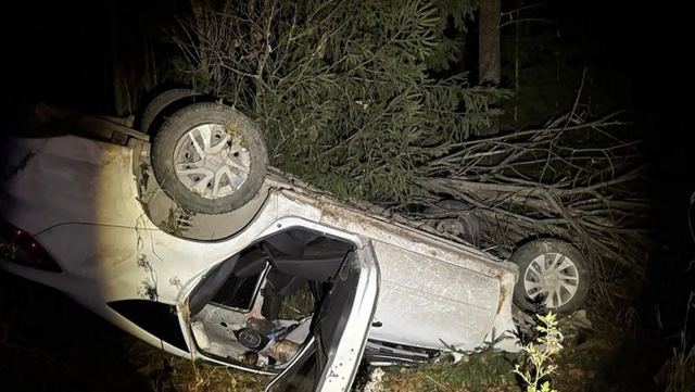 На 102-м км трассы «Вятка» лось попал под колёса автомобиля
