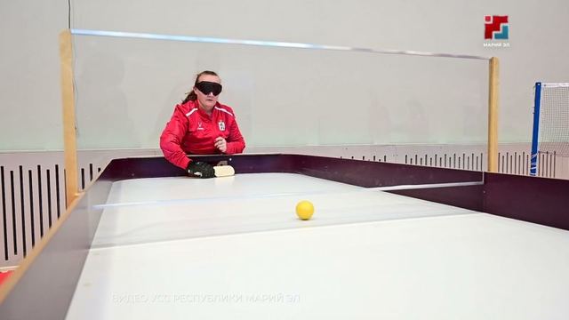 Адаптивный спорт в Марий Эл: Косачёв предложил федеральные решения