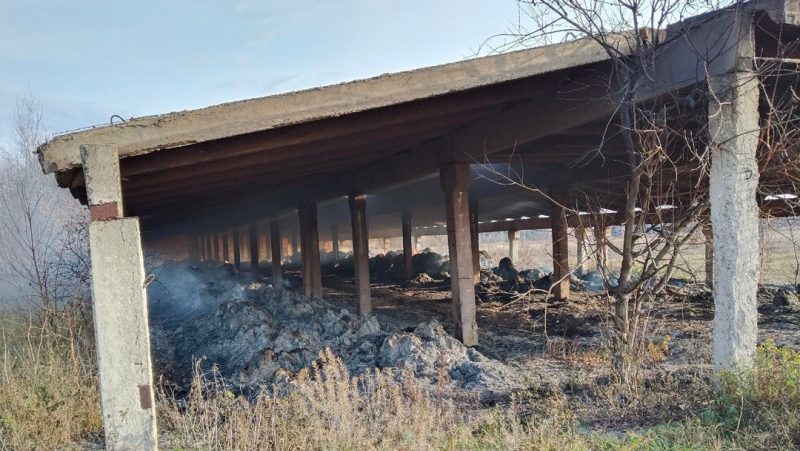 В Мари-Турекском районе сгорел склад с сеном: площадь пожара составила почти 950 «квадратов»