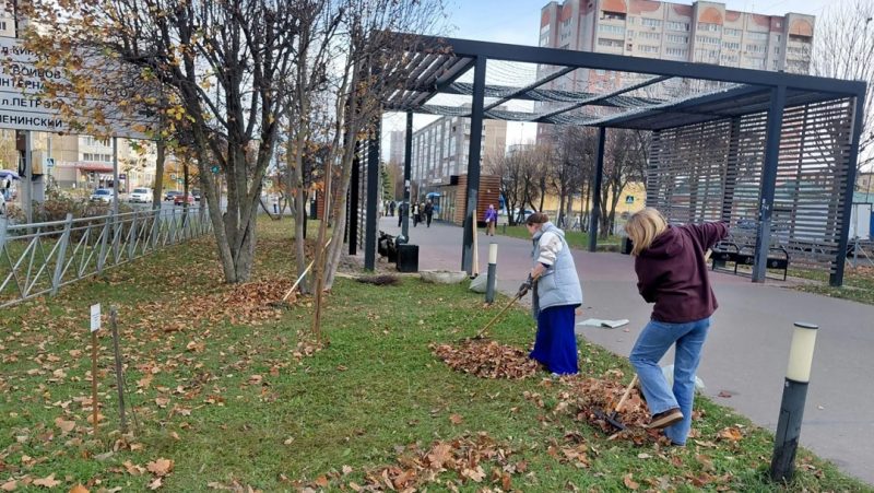 В Йошкар-Оле на Аллее работающей молодёжи высадили яблони