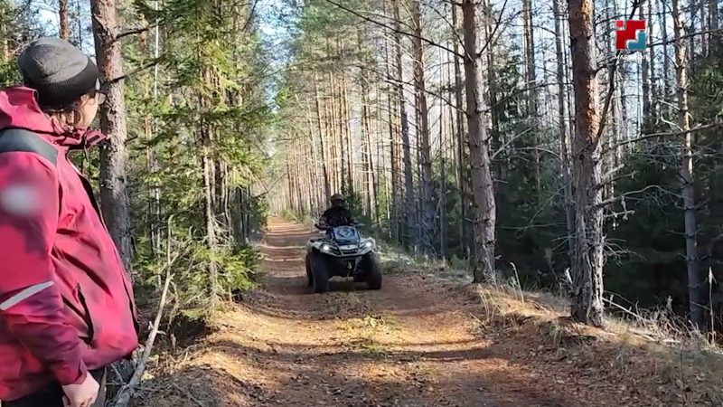 В Марий Эл три десятка квадроциклов и багги устроили гонки в заповеднике «Большая Кокшага»