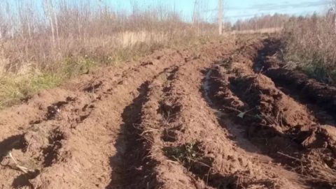 Йошкар-Ола полностью готова к отражению природных пожаров